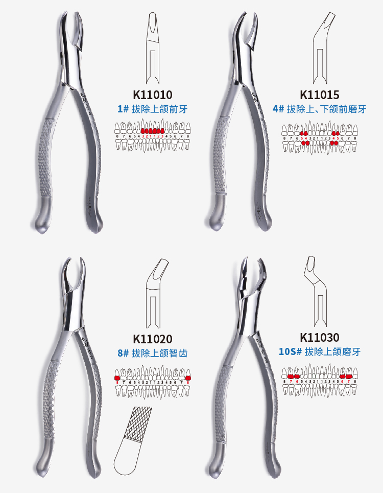 成人拔牙钳详情(02)-01.jpg
