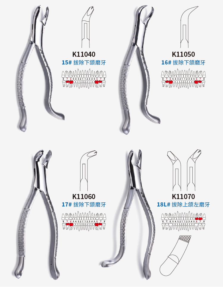 成人拔牙钳详情(02)-02.jpg