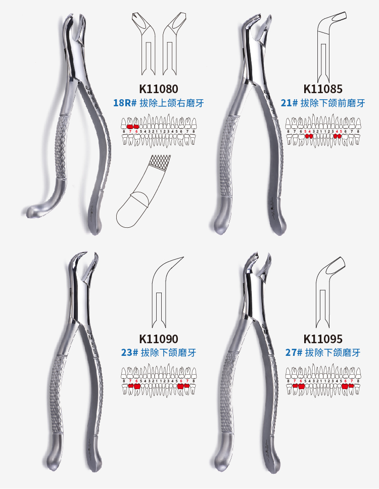 成人拔牙钳详情(02)-03.jpg