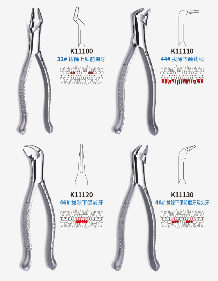 成人拔牙钳详情(02)-04.jpg