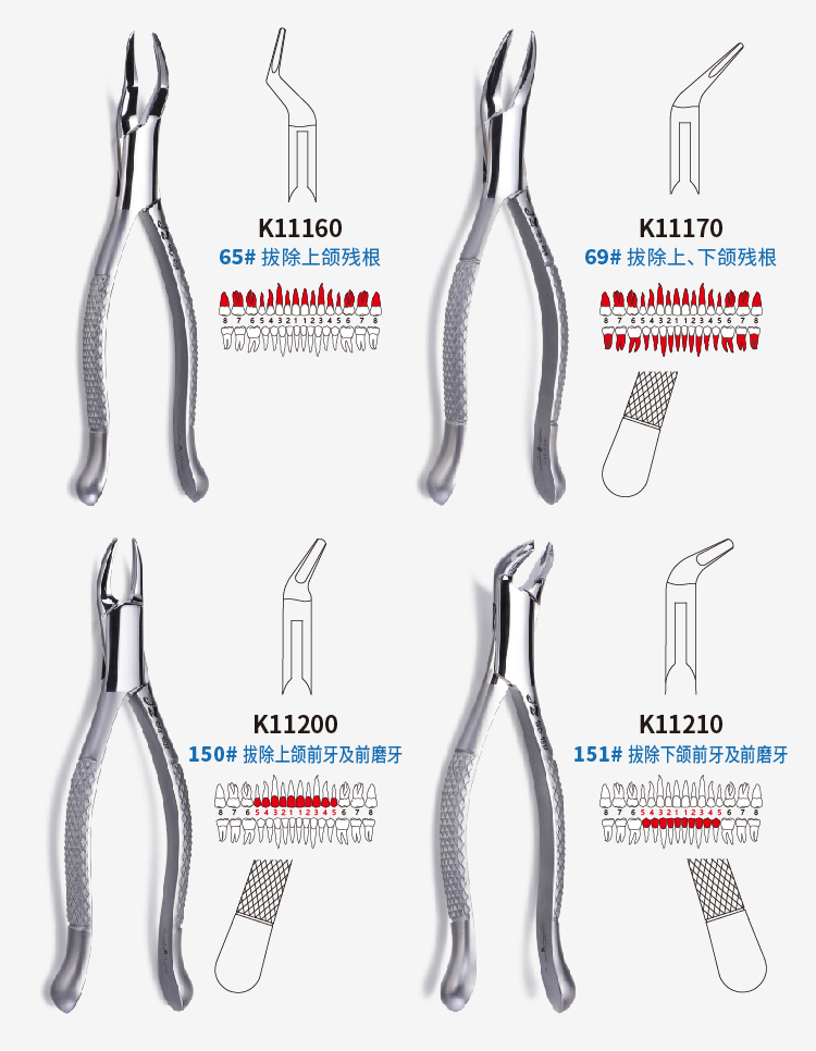 成人拔牙钳详情(02)-05.jpg