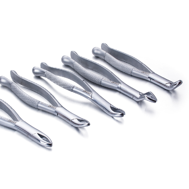 Extracting Forceps For Adults